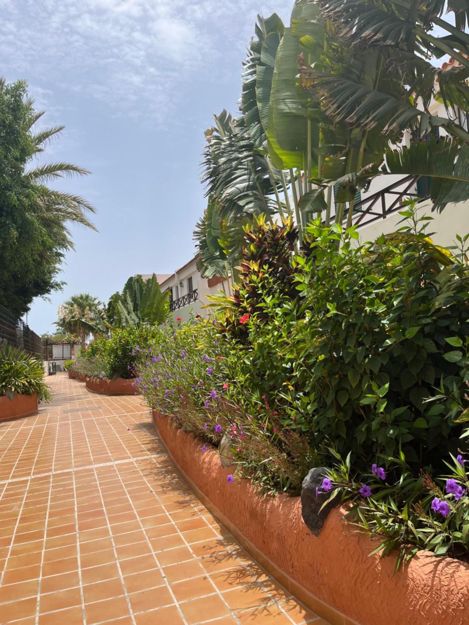 Casa Parque Don Jose 2 Apartment Costa Del Silencio Bagian luar foto