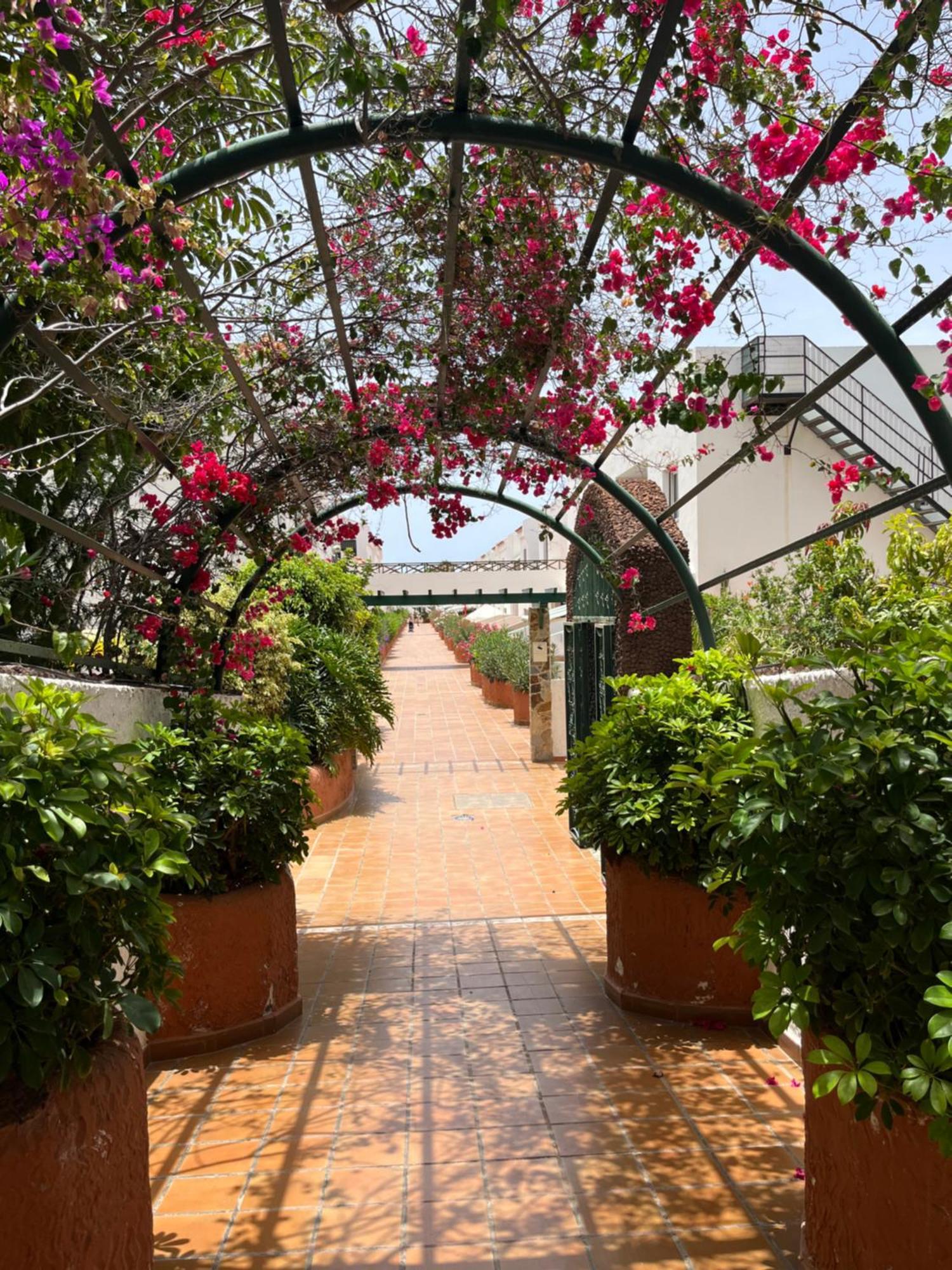 Casa Parque Don Jose 2 Apartment Costa Del Silencio Bagian luar foto